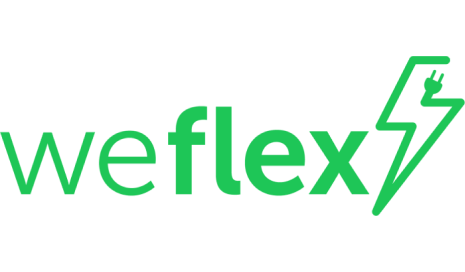 we flex logo